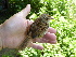  ( - A39224)  @11 [ ] CreativeCommons - Attribution Non-Commercial Share-Alike (2019) Unspecified College of Environmental Studies, National Dong Hwa University