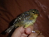  ( - K45428)  @11 [ ] CreativeCommons - Attribution Non-Commercial Share-Alike (2019) Unspecified College of Environmental Studies, National Dong Hwa University