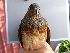  ( - F07361)  @11 [ ] CreativeCommons - Attribution Non-Commercial Share-Alike (2019) Unspecified College of Environmental Studies, National Dong Hwa University