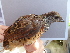  ( - F07362)  @11 [ ] CreativeCommons - Attribution Non-Commercial Share-Alike (2019) Unspecified College of Environmental Studies, National Dong Hwa University