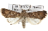  ( - BIOUG07540-B09)  @14 [ ] CreativeCommons - Attribution (2012) CBG Photography Group Centre for Biodiversity Genomics