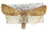  ( - BIOUG07540-D09)  @15 [ ] CreativeCommons - Attribution (2012) CBG Photography Group Centre for Biodiversity Genomics