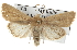  ( - BIOUG07540-E01)  @15 [ ] CreativeCommons - Attribution (2012) CBG Photography Group Centre for Biodiversity Genomics