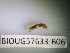  ( - BIOUG57633-B06)  @12 [ ] CreativeCommons Attribution (2023) Department of Invertebrate Zoology and Hydrobiology Department of Invertebrate Zoology and Hydrobiology