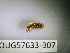  ( - BIOUG57633-B07)  @12 [ ] CreativeCommons Attribution (2023) Department of Invertebrate Zoology and Hydrobiology Department of Invertebrate Zoology and Hydrobiology