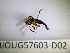  ( - BIOUG57603-D02)  @11 [ ] CreativeCommons Attribution (2023) Department of Invertebrate Zoology and Hydrobiology Department of Invertebrate Zoology and Hydrobiology