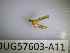  ( - BIOUG57603-A11)  @11 [ ] CreativeCommons Attribution (2023) Department of Invertebrate Zoology and Hydrobiology Department of Invertebrate Zoology and Hydrobiology
