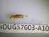  ( - BIOUG57603-A10)  @11 [ ] CreativeCommons Attribution (2023) Department of Invertebrate Zoology and Hydrobiology Department of Invertebrate Zoology and Hydrobiology