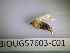  ( - BIOUG57603-C01)  @12 [ ] CreativeCommons Attribution (2023) Department of Invertebrate Zoology and Hydrobiology Department of Invertebrate Zoology and Hydrobiology