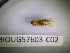  ( - BIOUG57603-C02)  @12 [ ] CreativeCommons Attribution (2023) Department of Invertebrate Zoology and Hydrobiology Department of Invertebrate Zoology and Hydrobiology