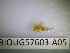 ( - BIOUG57603-A05)  @11 [ ] CreativeCommons Attribution (2023) Department of Invertebrate Zoology and Hydrobiology Department of Invertebrate Zoology and Hydrobiology