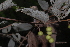  ( - OM2448)  @11 [ ] CreativeCommons - Attribution Non-Commercial Share-Alike (2011) Olivier Maurin University of Johannesburg