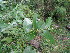  ( - Abbott9104)  @11 [ ] Unspecified (default): All Rights Reserved  Unspecified Unspecified