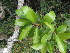  ( - Abbott9123)  @11 [ ] Unspecified (default): All Rights Reserved  Unspecified Unspecified