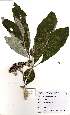  ( - Abbott9142)  @11 [ ] Unspecified (default): All Rights Reserved  Unspecified Unspecified