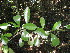  ( - Abbott9143)  @11 [ ] Unspecified (default): All Rights Reserved  Unspecified Unspecified