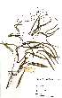  ( - OM_MvdB17)  @11 [ ] No Rights Reserved  Unspecified Unspecified