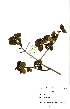  ( - OM1646)  @11 [ ] No Rights Reserved  Unspecified Unspecified