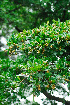  ( - OM1670)  @11 [ ] Unspecified (default): All Rights Reserved  Unspecified Unspecified