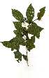  ( - OM1767)  @11 [ ] Unspecified (default): All Rights Reserved  Unspecified Unspecified