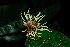  ( - OM1767)  @11 [ ] Unspecified (default): All Rights Reserved  Unspecified Unspecified