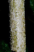  ( - OM1767)  @11 [ ] Unspecified (default): All Rights Reserved  Unspecified Unspecified