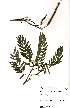  ( - OM1900)  @11 [ ] No Rights Reserved  Unspecified Unspecified