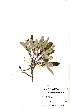  ( - OM1970)  @11 [ ] No Rights Reserved  Unspecified Unspecified