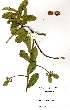  ( - OM2074)  @11 [ ] Unspecified (default): All Rights Reserved  Unspecified Unspecified
