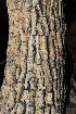 ( - OM2074)  @11 [ ] CreativeCommons - Attribution Non-Commercial Share-Alike (2010) Olivier Maurin University of Johannesburg