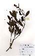  ( - OM2092)  @11 [ ] Unspecified (default): All Rights Reserved  Unspecified Unspecified