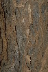  ( - OM2119)  @11 [ ] CreativeCommons - Attribution Non-Commercial Share-Alike (2010) Olivier Maurin University of Johannesburg