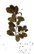  ( - OM2131)  @11 [ ] Unspecified (default): All Rights Reserved  Unspecified Unspecified