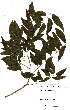  ( - OM2139)  @11 [ ] Unspecified (default): All Rights Reserved  Unspecified Unspecified