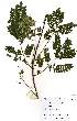  ( - OM2159)  @11 [ ] Unspecified (default): All Rights Reserved  Unspecified Unspecified