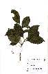  ( - OM2174)  @11 [ ] Unspecified (default): All Rights Reserved  Unspecified Unspecified