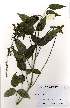  ( - OM2193)  @11 [ ] Unspecified (default): All Rights Reserved  Unspecified Unspecified
