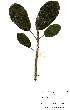  ( - OM2206)  @11 [ ] Unspecified (default): All Rights Reserved  Unspecified Unspecified