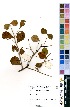  ( - OM2213)  @11 [ ] No Rights Reserved  Unspecified Unspecified