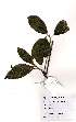  ( - OM2218)  @11 [ ] Unspecified (default): All Rights Reserved  Unspecified Unspecified