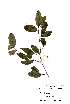  ( - OM2226)  @11 [ ] Unspecified (default): All Rights Reserved  Unspecified Unspecified
