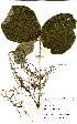  ( - OM2247)  @11 [ ] Unspecified (default): All Rights Reserved  Unspecified Unspecified