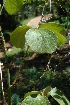  ( - OM2247)  @11 [ ] Unspecified (default): All Rights Reserved  Unspecified Unspecified