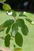  ( - OM2249)  @11 [ ] Unspecified (default): All Rights Reserved  Unspecified Unspecified