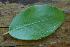  ( - OM2249)  @11 [ ] Unspecified (default): All Rights Reserved  Unspecified Unspecified