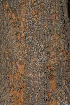  ( - OM2257)  @11 [ ] CreativeCommons - Attribution Non-Commercial Share-Alike (2010) Olivier Maurin University of Johannesburg