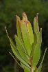  ( - OM2266)  @11 [ ] Unspecified (default): All Rights Reserved  Unspecified Unspecified