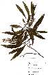  ( - OM2270)  @11 [ ] Unspecified (default): All Rights Reserved  Unspecified Unspecified