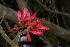  ( - OM2274)  @11 [ ] CreativeCommons - Attribution Non-Commercial Share-Alike (2010) Olivier Maurin University of Johannesburg