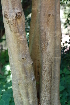  ( - OM2297)  @11 [ ] CreativeCommons - Attribution Non-Commercial Share-Alike (2010) Olivier Maurin University of Johannesburg